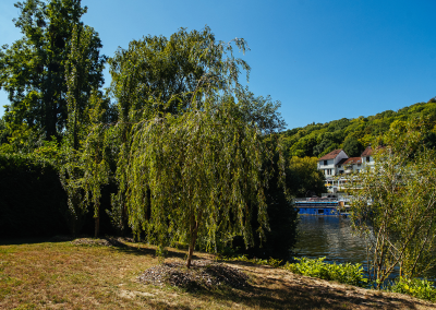 Jardin à Bougival