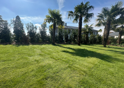 Jardin dans les Yvelines