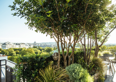 Rooftop Paris 8ᵉ